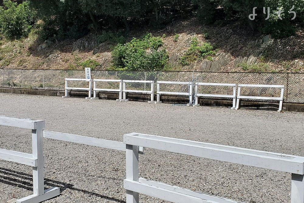 専願寺の駐車場写真です（1枚目）